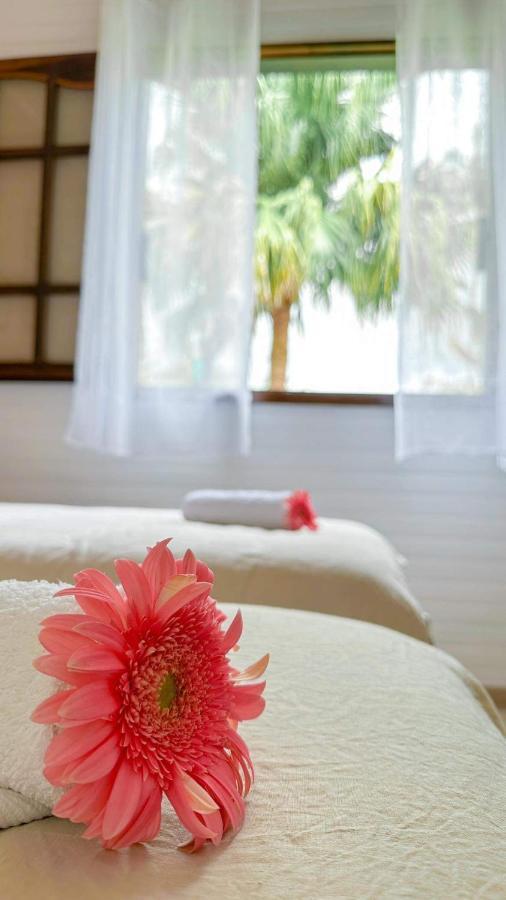 Magnifique Villa Creole Villa Ti Bout Bois Avec Cheminee Au Tevelave Les Avirons 외부 사진